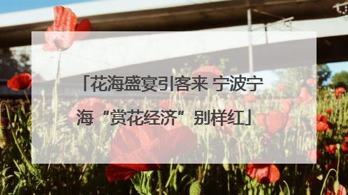 花海盛宴引客来 宁波宁海“赏花经济”别样红