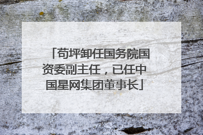 苟坪卸任国务院国资委副主任，已任中国星网集团董事长