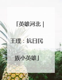 英雄河北｜王璞：抗日民族小英雄