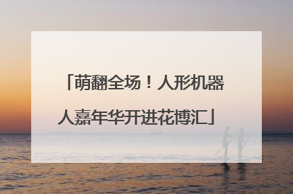 萌翻全场！人形机器人嘉年华开进花博汇