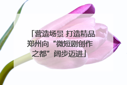 营造场景 打造精品 郑州向“微短剧创作之都”阔步迈进