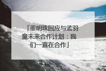 董明珠回应与孟羽童未来合作计划：我们一直在合作