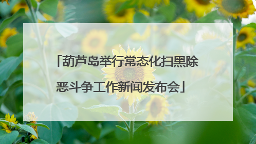 葫芦岛举行常态化扫黑除恶斗争工作新闻发布会