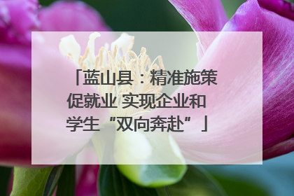 蓝山县：精准施策促就业 实现企业和学生“双向奔赴”