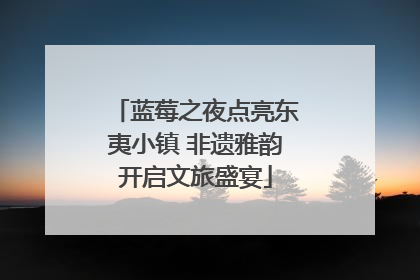 蓝莓之夜点亮东夷小镇 非遗雅韵开启文旅盛宴