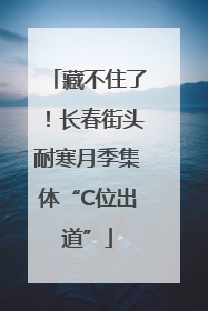藏不住了！长春街头耐寒月季集体“C位出道”