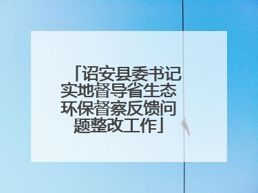 诏安县委书记实地督导省生态环保督察反馈问题整改工作