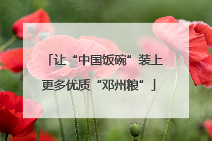 让“中国饭碗”装上更多优质“邓州粮”