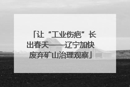 让“工业伤疤”长出春天——辽宁加快废弃矿山治理观察