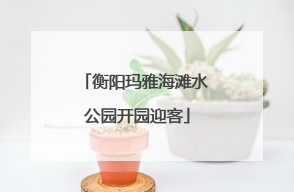 衡阳玛雅海滩水公园开园迎客