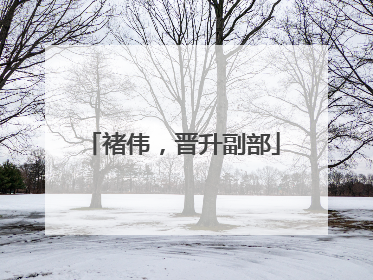 褚伟，晋升副部