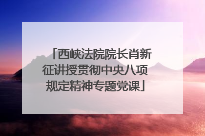 西峡法院院长肖新征讲授贯彻中央八项规定精神专题党课