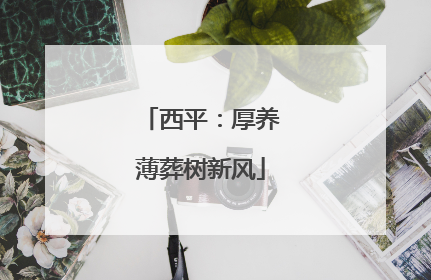 西平：厚养薄葬树新风