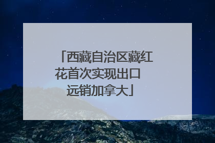 西藏自治区藏红花首次实现出口 远销加拿大