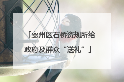 襄州区石桥资规所给政府及群众“送礼”