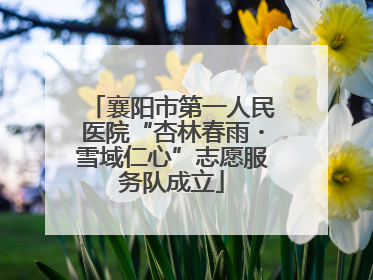 襄阳市第一人民医院“杏林春雨・雪域仁心”志愿服务队成立