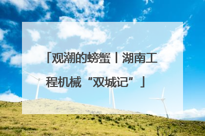 观潮的螃蟹丨湖南工程机械“双城记”