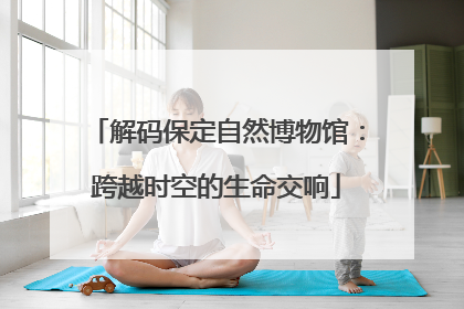 解码保定自然博物馆：跨越时空的生命交响