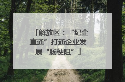 解放区：“纪企直通”打通企业发展“肠梗阻”