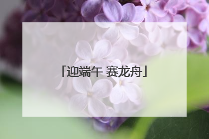 迎端午 赛龙舟