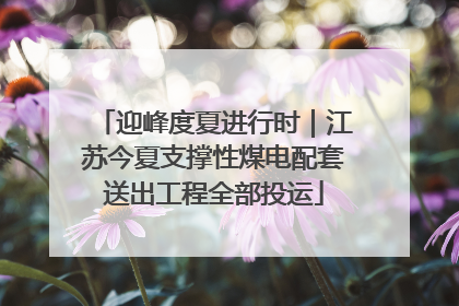 迎峰度夏进行时｜江苏今夏支撑性煤电配套送出工程全部投运