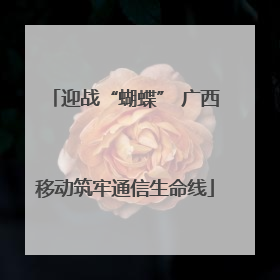 迎战“蝴蝶” 广西移动筑牢通信生命线