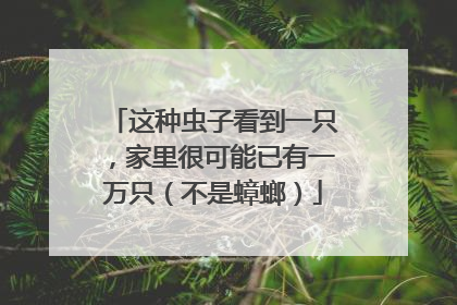 这种虫子看到一只，家里很可能已有一万只（不是蟑螂）