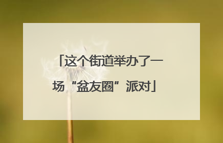 这个街道举办了一场“盆友圈”派对