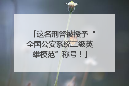 这名刑警被授予“全国公安系统二级英雄模范”称号！