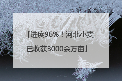进度96%！河北小麦已收获3000余万亩