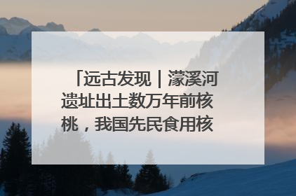 远古发现｜濛溪河遗址出土数万年前核桃，我国先民食用核桃历史大幅提前