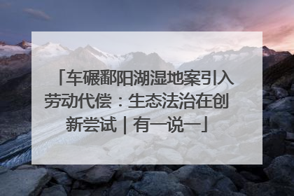 车碾鄱阳湖湿地案引入劳动代偿：生态法治在创新尝试｜有一说一