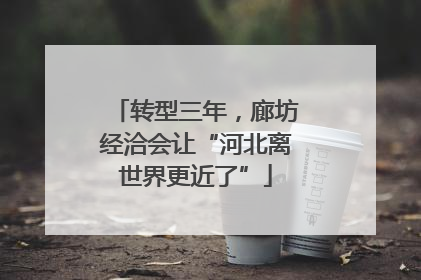 转型三年，廊坊经洽会让“河北离世界更近了”