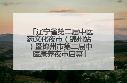 辽宁省第二届中医药文化夜市（锦州站）暨锦州市第二届中医康养夜市启幕