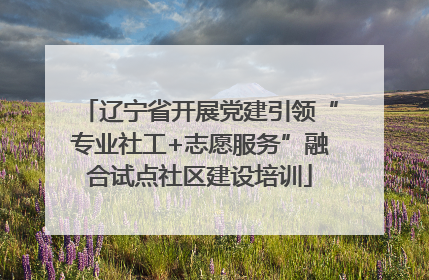 辽宁省开展党建引领“专业社工+志愿服务”融合试点社区建设培训