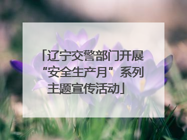 辽宁交警部门开展“安全生产月”系列主题宣传活动