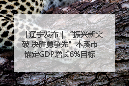 辽宁发布｜“振兴新突破 决胜勇争先”本溪市锚定GDP增长6%目标推进十项重点工作