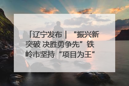 辽宁发布｜“振兴新突破 决胜勇争先”铁岭市坚持“项目为王”推进经济高质量发展