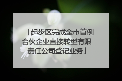 起步区完成全市首例合伙企业直接转型有限责任公司登记业务