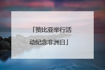 赞比亚举行活动纪念非洲日