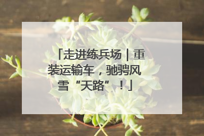 走进练兵场｜重装运输车，驰骋风雪“天路”！