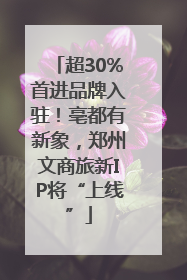 超30%首进品牌入驻！亳都有新象，郑州文商旅新IP将“上线”