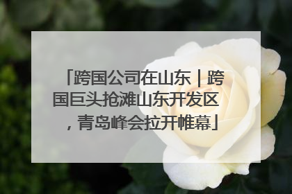 跨国公司在山东｜跨国巨头抢滩山东开发区，青岛峰会拉开帷幕