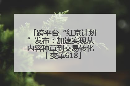 跨平台“红京计划”发布：加速实现从内容种草到交易转化丨变革618