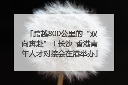 跨越800公里的“双向奔赴”！长沙-香港青年人才对接会在港举办
