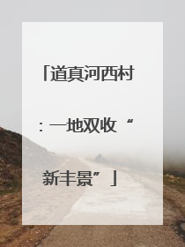 道真河西村：一地双收“新丰景”