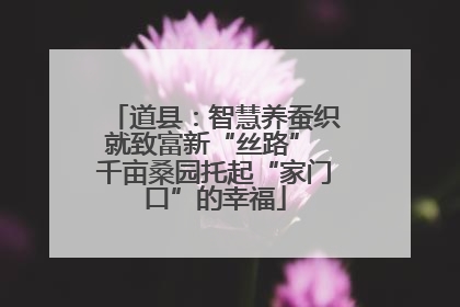道县：智慧养蚕织就致富新“丝路” 千亩桑园托起“家门口”的幸福
