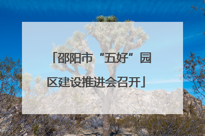 邵阳市“五好”园区建设推进会召开