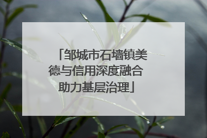 邹城市石墙镇美德与信用深度融合助力基层治理