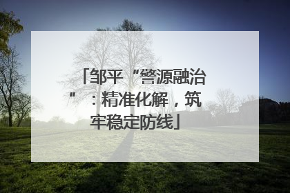 邹平“警源融治”：精准化解，筑牢稳定防线